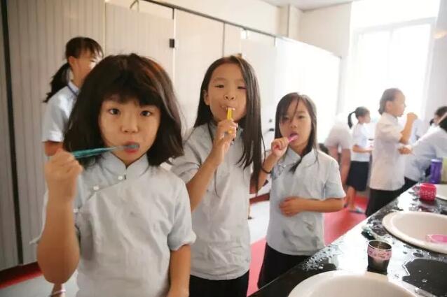 國內(nèi)青少年夏令營有哪些