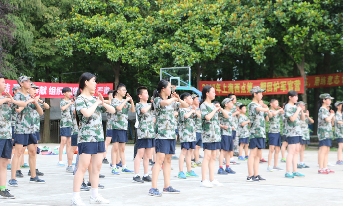 國內(nèi)夏令營中資質(zhì)排名較好的有哪些