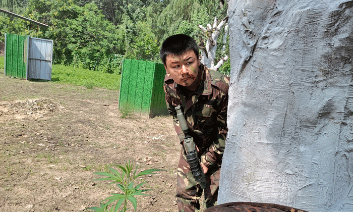 國內夏令營哪家好