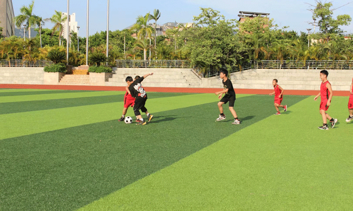 國內(nèi)青少年足球夏令營