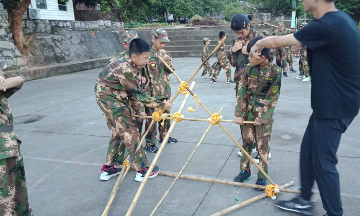 國內(nèi)資質(zhì)比較優(yōu)秀的夏令營