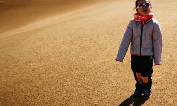 親子夏令營收費