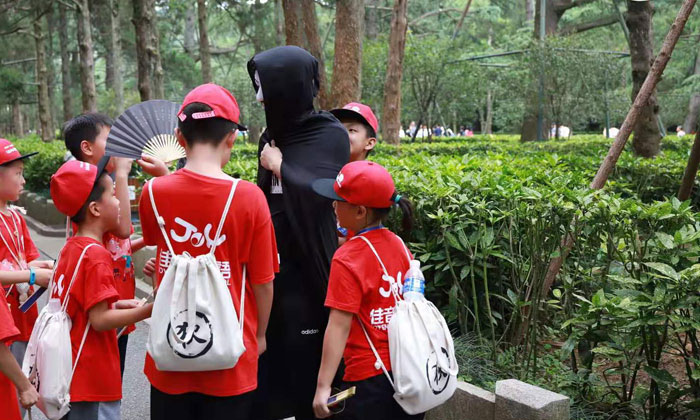 國內(nèi)夏令營哪家好