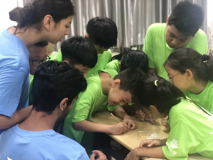 國內著名的英語夏令營有哪些