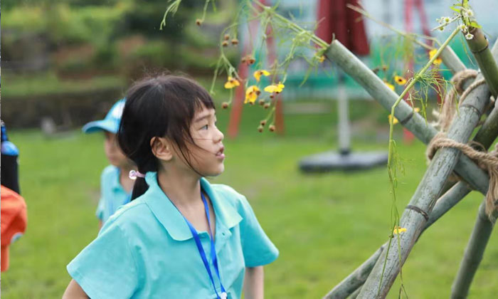 國內(nèi)有哪些小學生夏令營