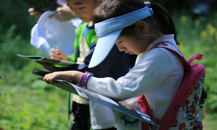 國內(nèi)冬令營活動有哪些