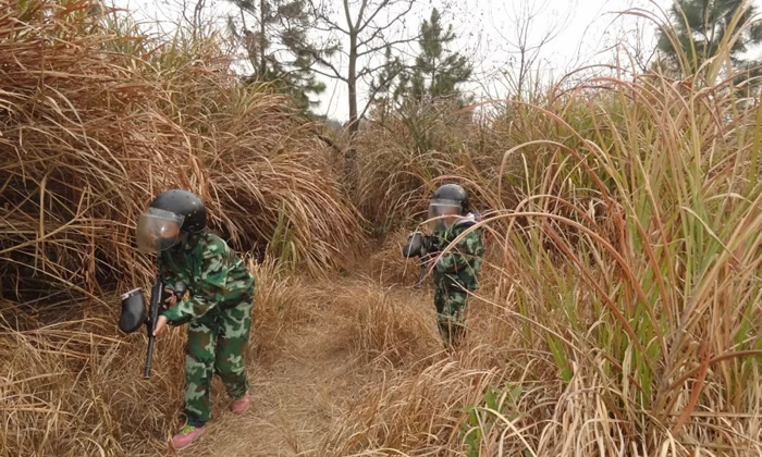 各地暑假特訓(xùn)軍事夏令營(yíng)怎么樣