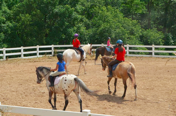國學訓練營費用