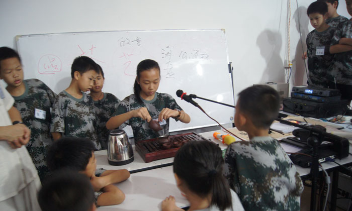 國內(nèi)冬令營活動有哪些