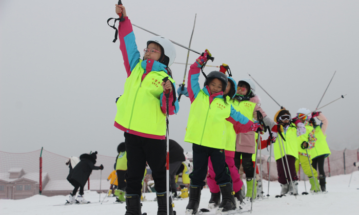 國內(nèi)冬令營活動有哪些