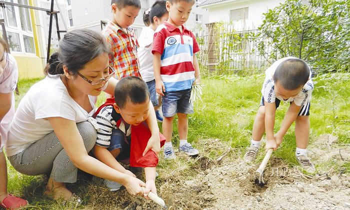 國內(nèi)夏令營活動