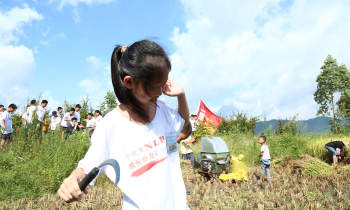 國學(xué)夏令營怎么樣