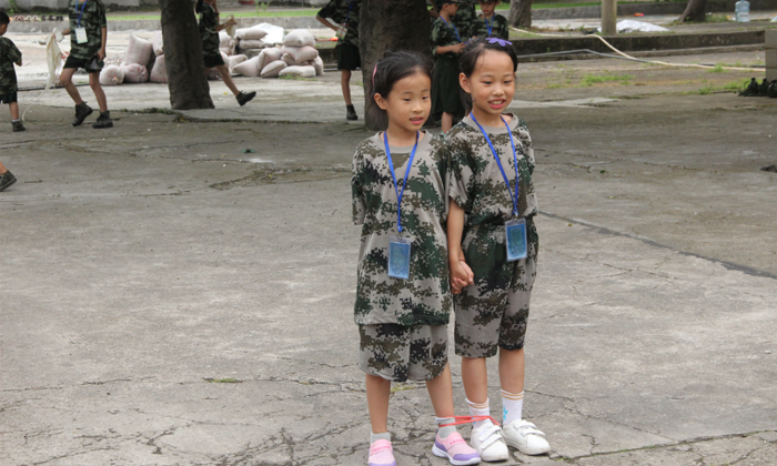 兩朵金花緩緩綻放