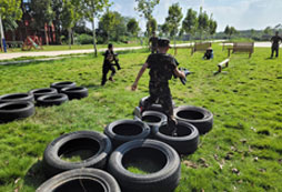  廣西西點軍事夏令營能夠帶給孩子哪些成長？