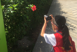 參加海邊夏令營學(xué)會知識才是王道