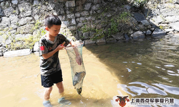 海濱夏令營多少錢