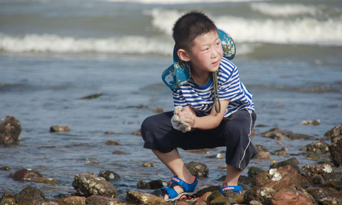 海濱夏令營機構(gòu)有哪些