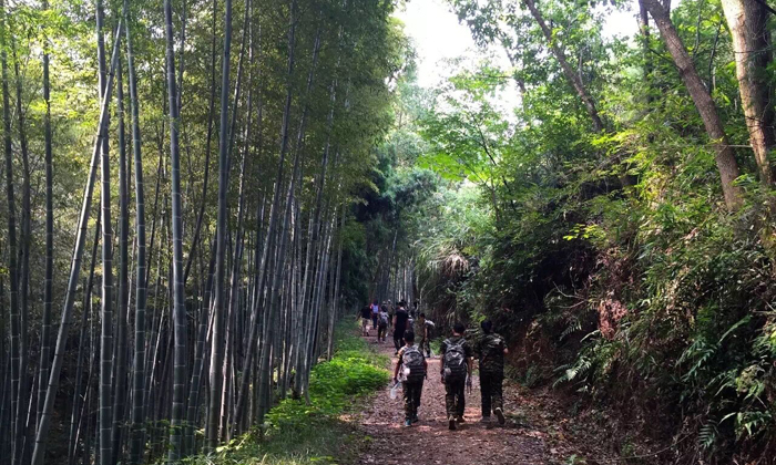 杭州童子軍夏令營