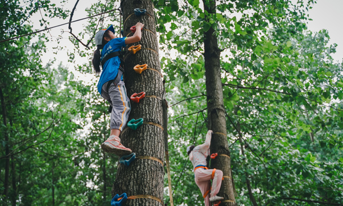 杭州青少年夏令營(yíng)排名大全