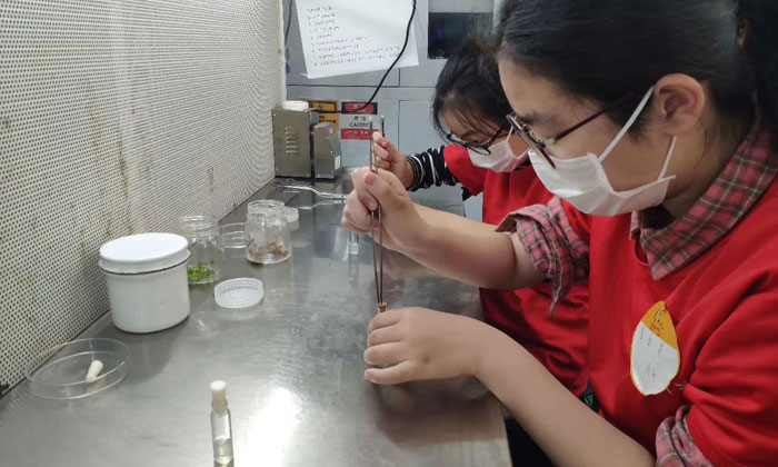 杭州小學(xué)生夏令營推薦