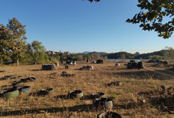 河北橄欖綠綜合訓(xùn)練基地