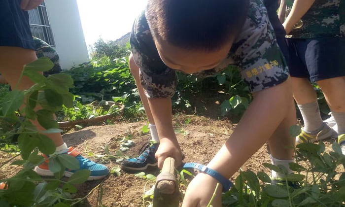 合肥暑期夏令營(yíng)營(yíng)地安全有保障嗎？