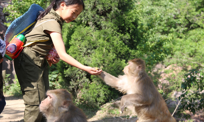 河南新鄉(xiāng)關(guān)山周邊的夏令營(yíng)收費(fèi)