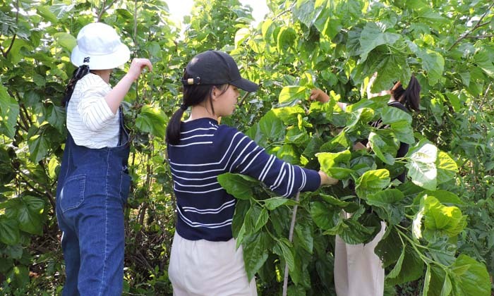 河南7天高中學(xué)夏令營(yíng)費(fèi)用