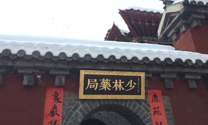 嵩山少林寺夏令營.jpg