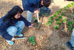 紅狼軍事夏令營改變孩子未來