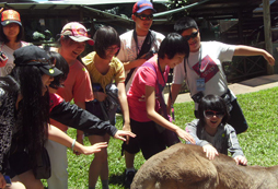 2024環(huán)球雅思國際游學(xué)夏令營怎么樣？