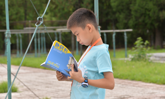 華北夏令營活動排行情況