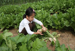 參加華東福建國學夏令營的意義是什么？