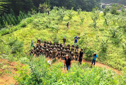 參加華東野外生存夏令營學(xué)會勇敢面對挑戰(zhàn)