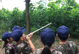 參加淮南兒童夏令營(yíng)掌握獨(dú)立生存技能