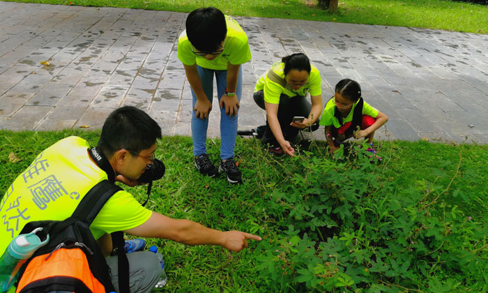 淮南夏令營(yíng)意義