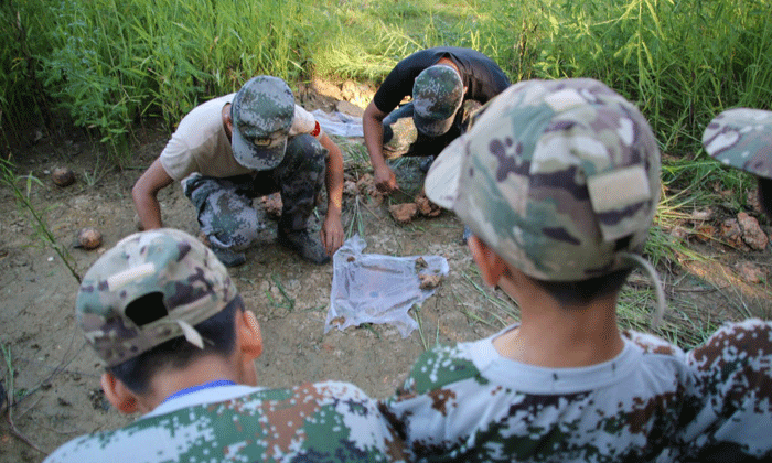 華南夏令營價格怎么樣