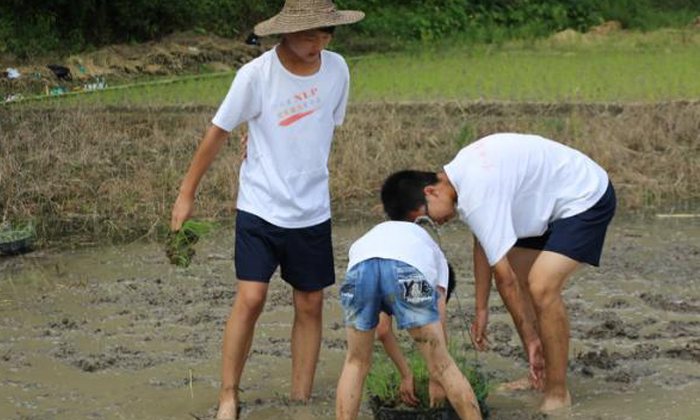 華南青少年夏令營