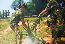 青少年參加華南軍事夏令營會(huì)有哪些收益