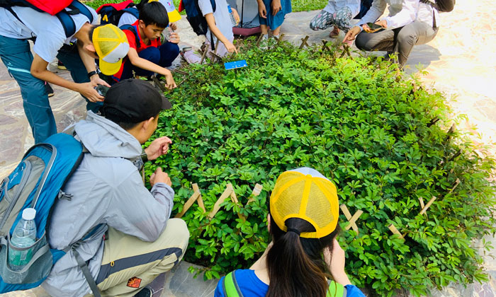 黃山夏令營(yíng)課程特色有哪些