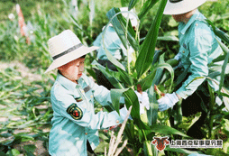 華中兒童夏令營哪家好？口碑活動(dòng)推薦