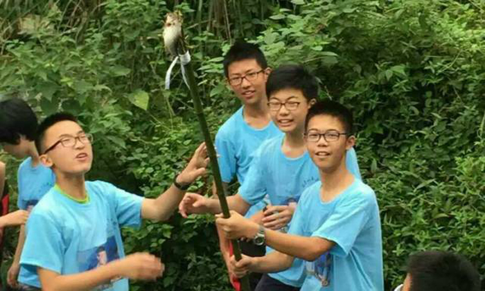 華中夏令營