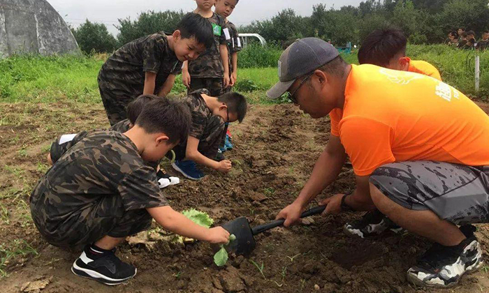 湖北有哪些好的夏令營