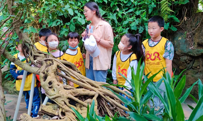 湖北夏令營哪個好