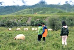 呼和浩特有適合親子的游學(xué)夏令營嗎？