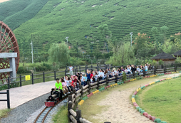 湖州夏令營(yíng)教會(huì)孩子什么？