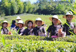 孩子參加湖州中學(xué)生科技夏令營的好處有哪些？