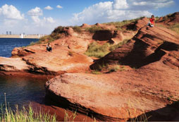 參加2024重慶跆拳道集訓(xùn)營學(xué)習(xí)防身術(shù)！