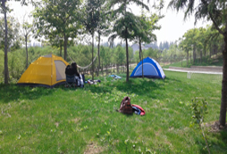中小學(xué)生參加拓展夏令營告別小皇帝稱號