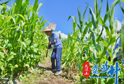 變形計之干農(nóng)活